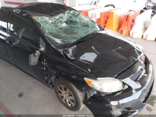 Toyota Corolla Le Image 12