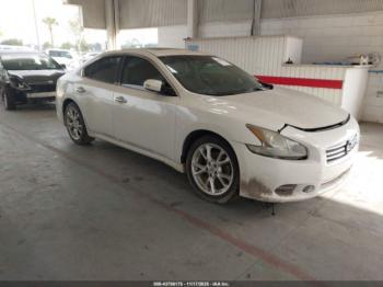  Salvage Nissan Maxima