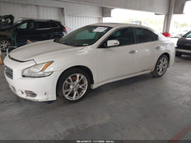 Nissan Maxima 3.5 Sv Image 5