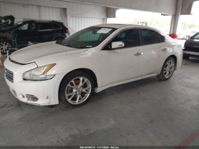 Nissan Maxima 3.5 Sv Image 5