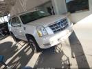 Cadillac Escalade Platinum Edition Image 1