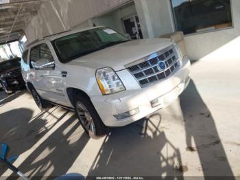  Salvage Cadillac Escalade