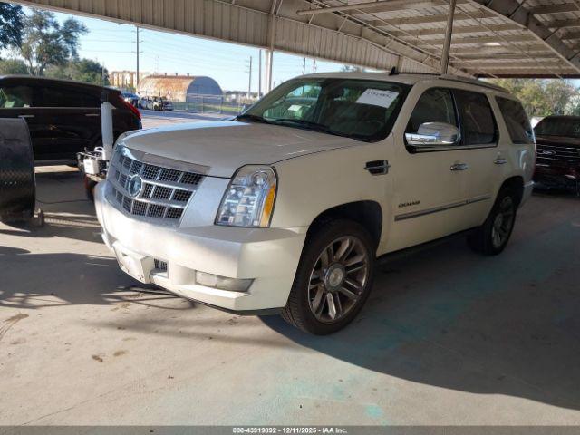 Cadillac Escalade Platinum Edition Image 9