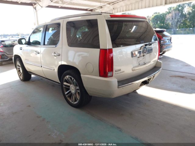 Cadillac Escalade Platinum Edition Image 7