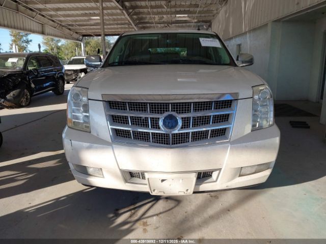 Cadillac Escalade Platinum Edition Image 2