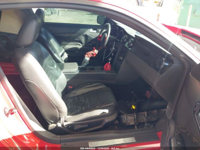 Ford Mustang Image 3