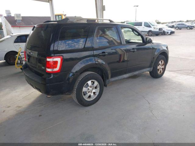 Ford Escape Limited Image 7