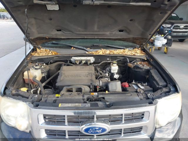 Ford Escape Limited Image 2