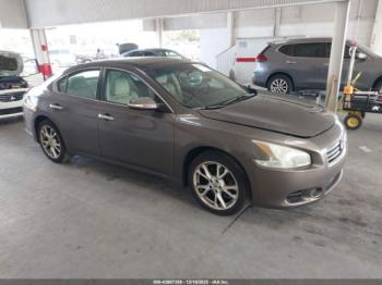  Salvage Nissan Maxima