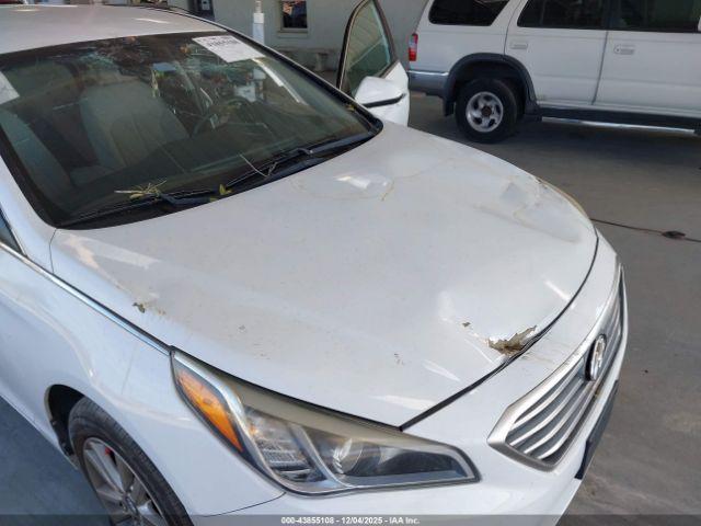 Hyundai SONATA Image 12