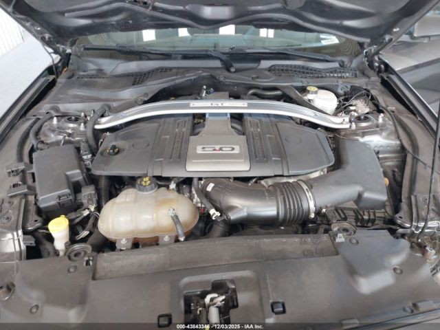 Ford Mustang Gt Image 16