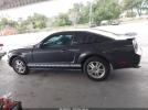 Ford Mustang Image 11