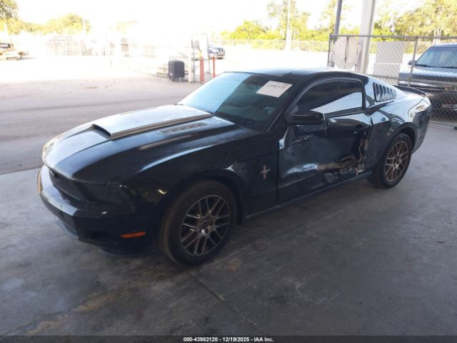 Ford Mustang V6 Premium Image 2