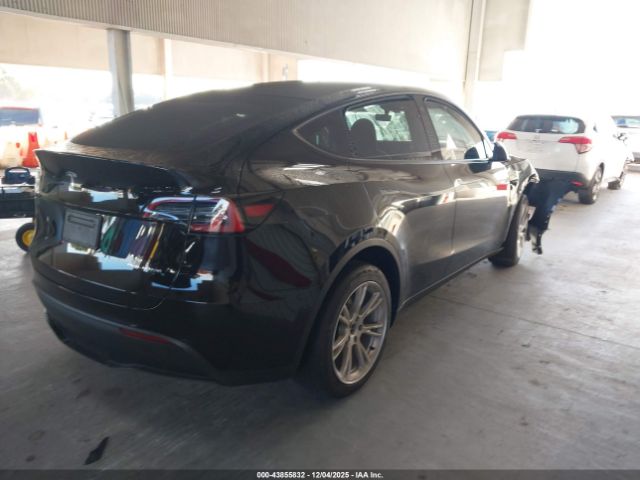 Tesla Model Y Image 6