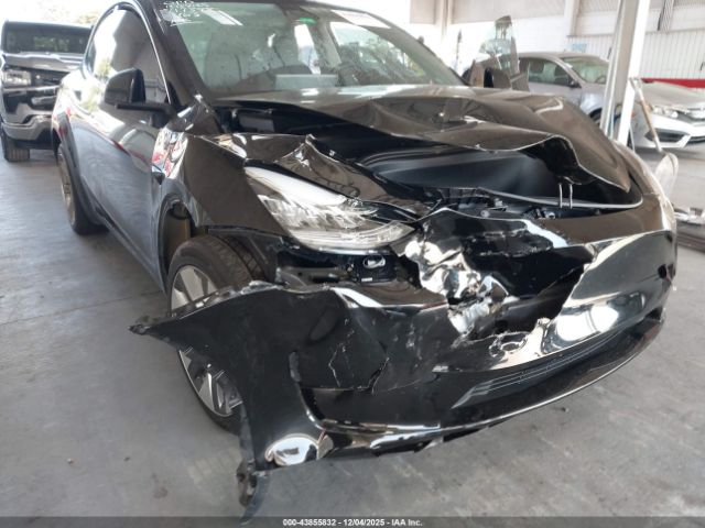 Tesla Model Y Image 8