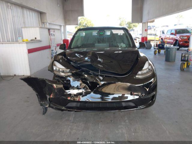 Tesla Model Y Image 14