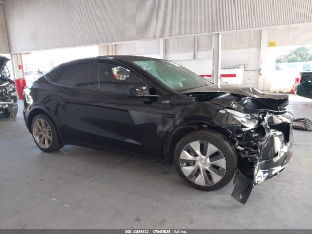 Tesla Model Y Image 11