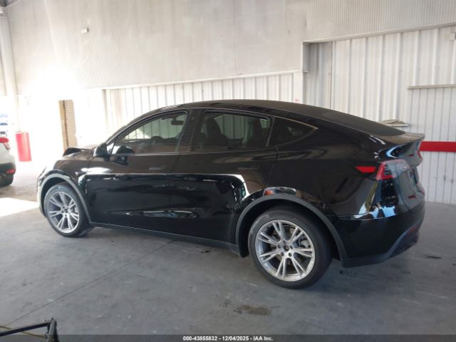 Tesla Model Y Image 2